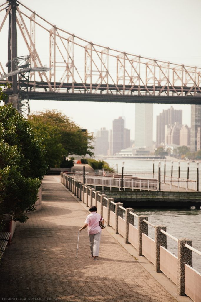 Triborough Bridge from Roosevelt Island